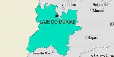 Harta Laje face Muriae municipiului